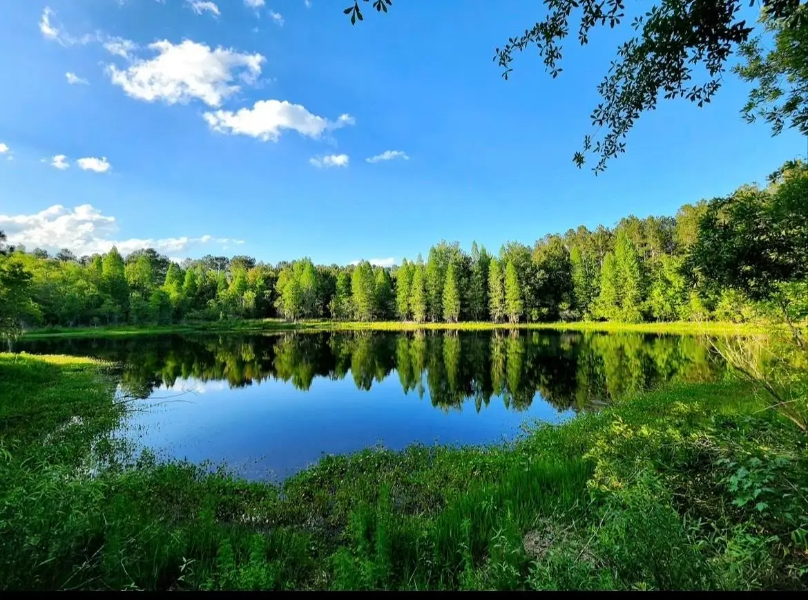 TBD SE 78th Place, White Springs, FL 32096 - Image #1