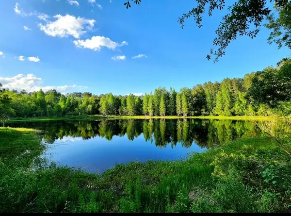 TBD SE 78th Place, White Springs, FL 32096