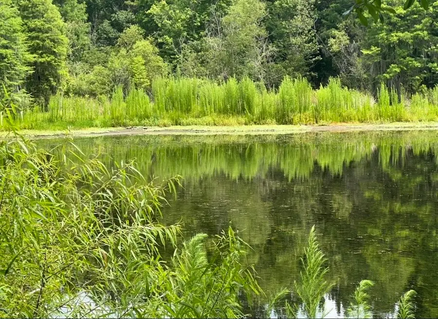 TBD SE 78th Place, White Springs, FL 32096 - Image #2