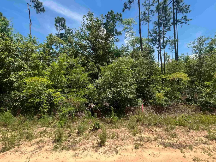 TBD Tamarac Road, Marianna, FL 32448 - Image #3