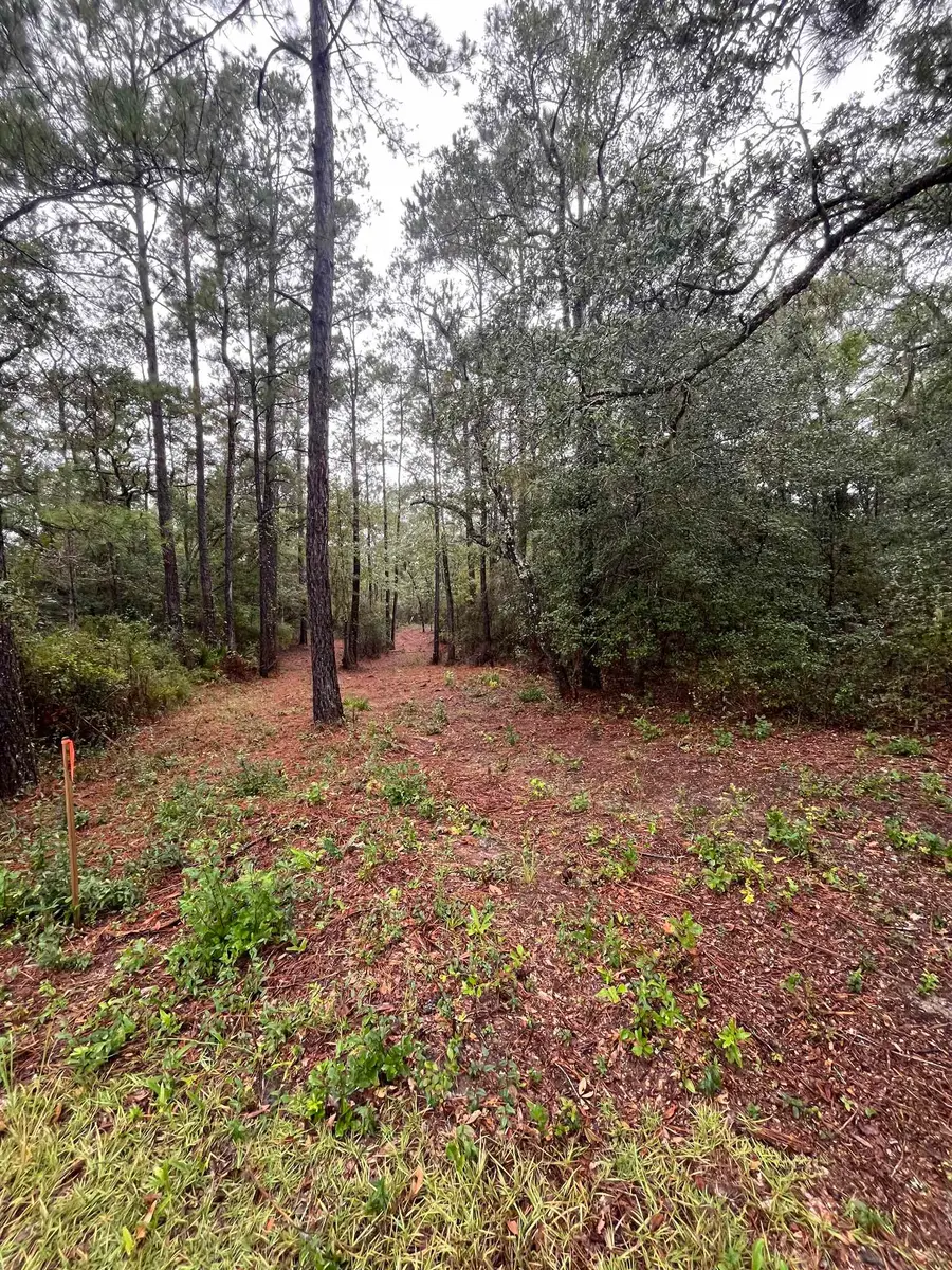 xx Cara Trail, Crawfordville, FL 32327 - Image #2