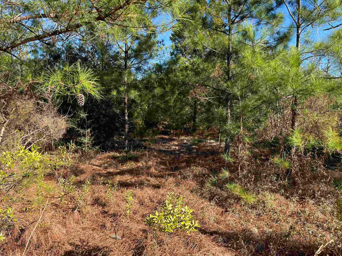 Fairview Road, Marianna, FL 32448 - #1