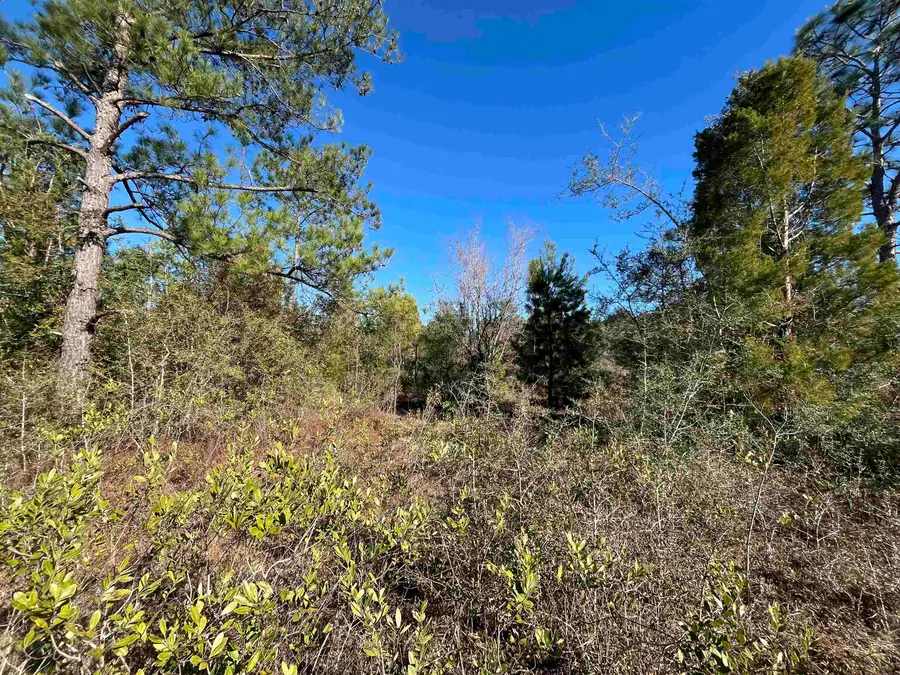 Fairview Road, Marianna, FL 32448 - #3