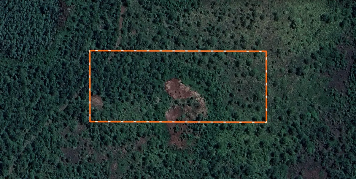 Landlocked 4 Acres Polk City, Other Florida, FL 33868 - Image #1