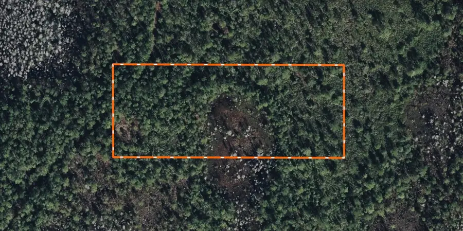 Landlocked 4 Acres Polk City, Other Florida, FL 33868 - Image #2