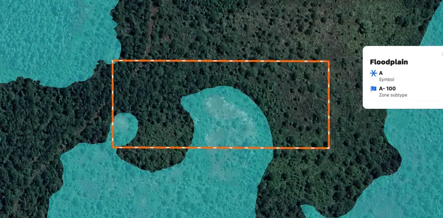 Landlocked 4 Acres Polk City, Other Florida, FL 33868 - Image #3