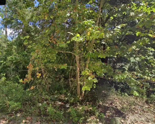 10059 Blue Waters Road, Tallahassee, FL 32305