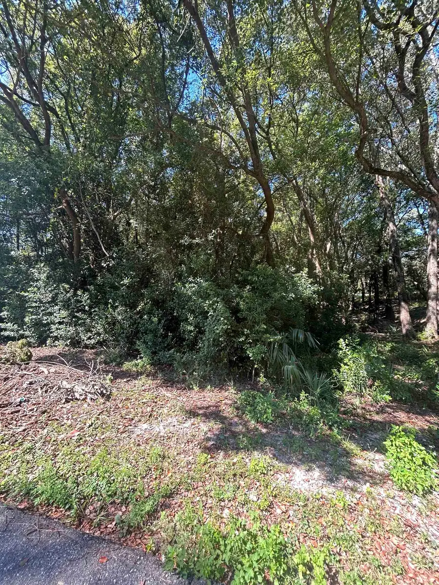 xxx Nw 6th Street, Carrabelle, FL 32322 - Image #2