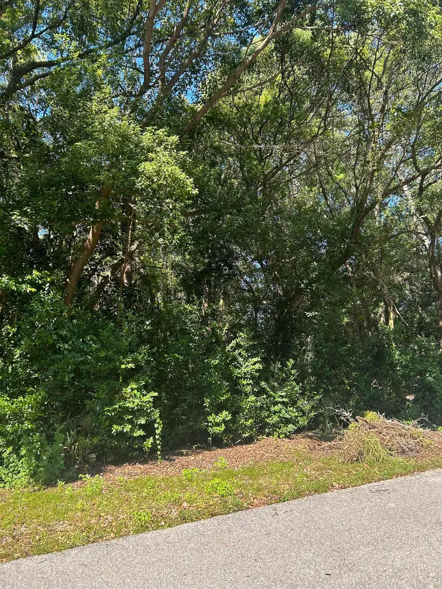 xxx Nw 6th Street, Carrabelle, FL 32322 - Image #3