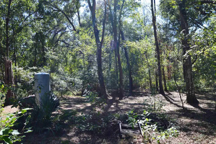 687 Smokehouse Farms Drive, Greenville, FL 32331 - Image #2