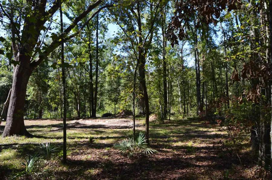 687 Smokehouse Farms Drive, Greenville, FL 32331 - Image #3