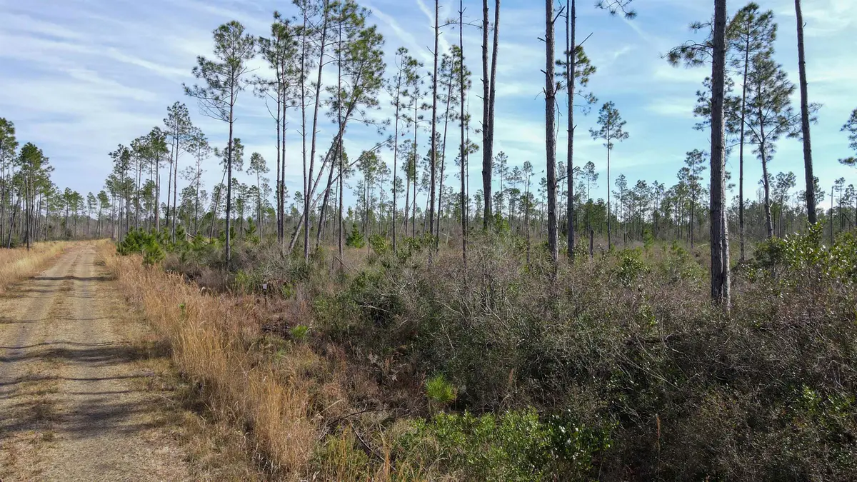 Lot 49 Circle Block Loop, Perry, FL 32348 - Image #1