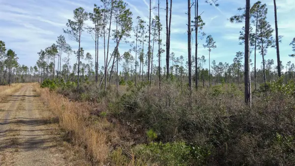 Lot 49 Circle Block Loop, Perry, FL 32348