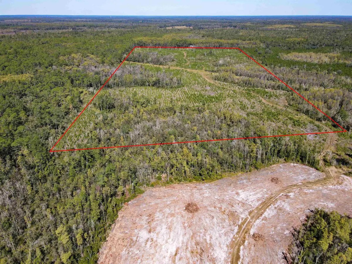 000 SW Mt.gilead Road, Greenville, FL 32331 - Image #1