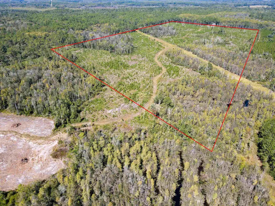 000 SW Mt.gilead Road, Greenville, FL 32331 - Image #2