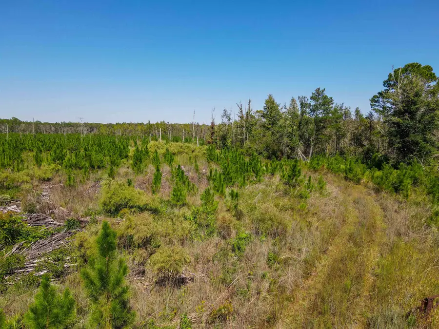 000 SW Mt.gilead Road, Greenville, FL 32331 - Image #3