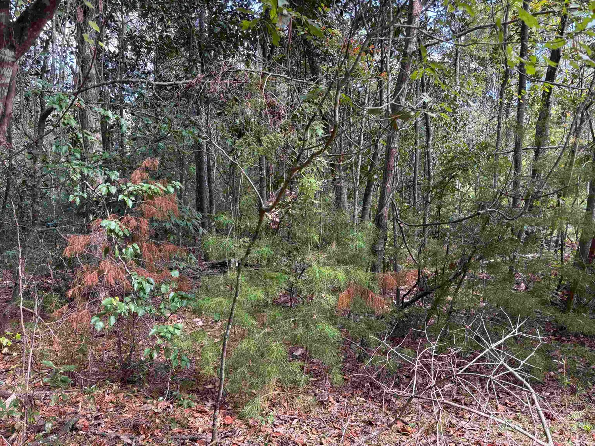 Sweetwater Lane, Tallahassee, FL 32311 - Image #1