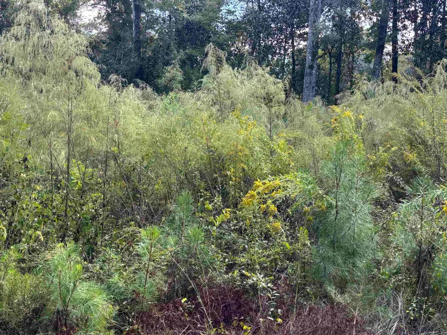 xxxx Sweetwater Lane, Tallahassee, FL 32311 - Image #3