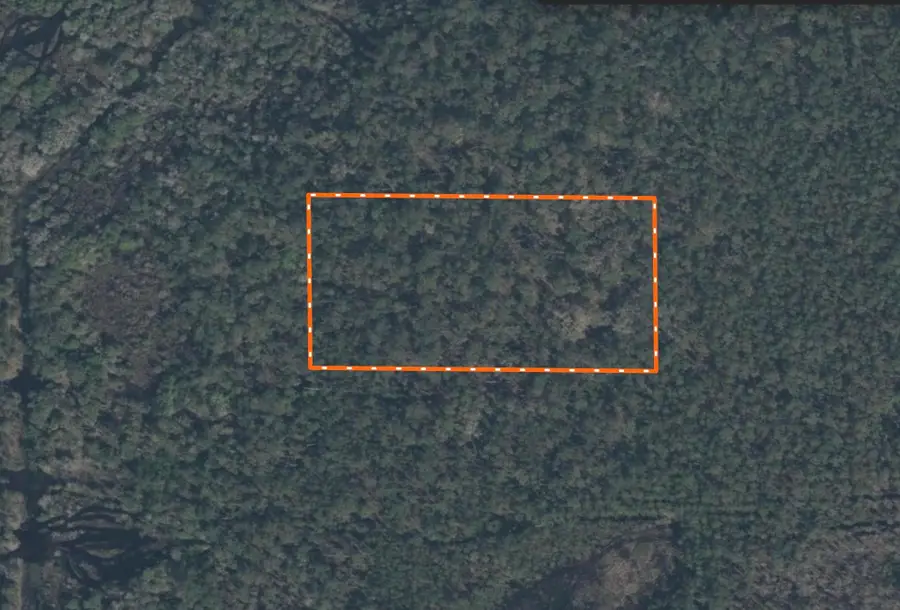Vacant 5.09 Acres River Ranch, Other Florida, FL 33898 - Image #2