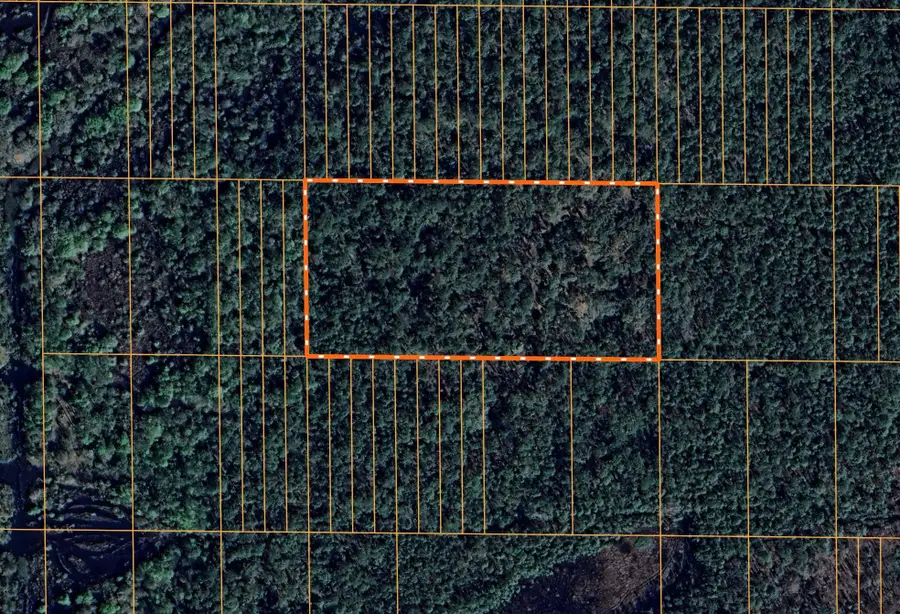 Vacant 5.09 Acres River Ranch, Other Florida, FL 33898 - Image #3