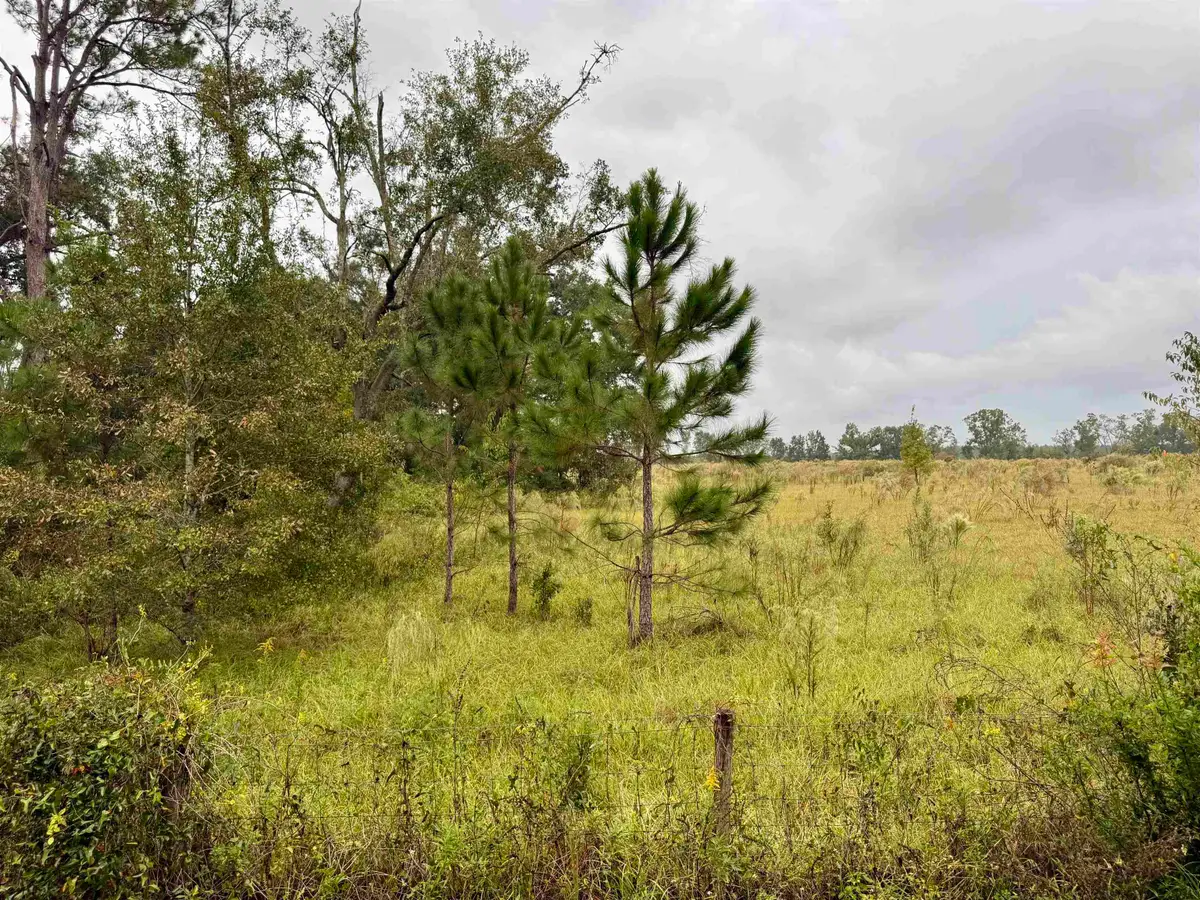 TBD 104th Street, Live Oak, FL 32060 - Image #1