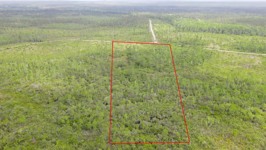 Lot 50 Circle Block Loop Loop, Perry, FL 32348 - Image #2