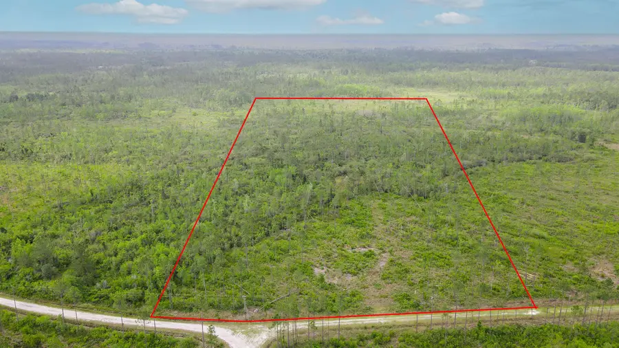 Lot 50 Circle Block Loop Loop, Perry, FL 32348 - Image #3