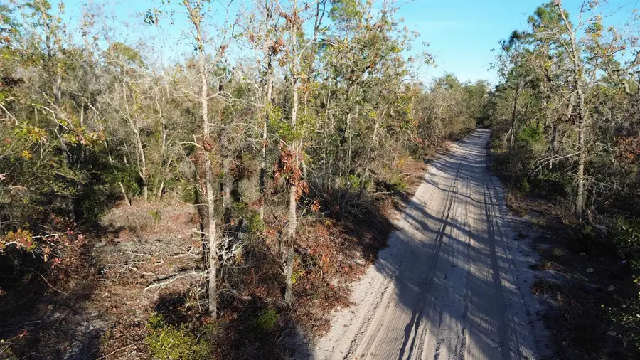 Vacant Clearwater Creek Lane, Perry, FL 32348 - Image #3