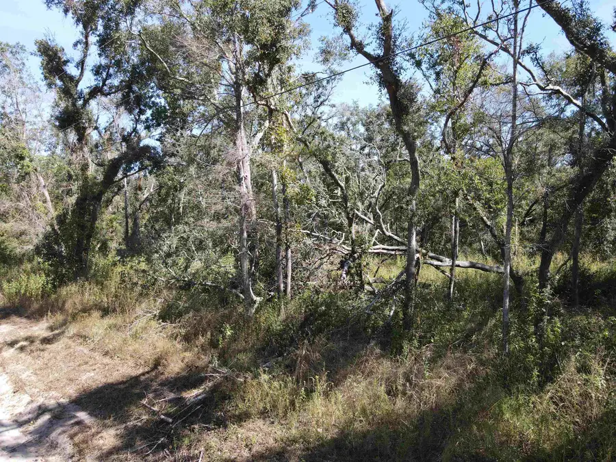 Lot 110 NW 21st Place, Jasper, FL 32052 - Image #3