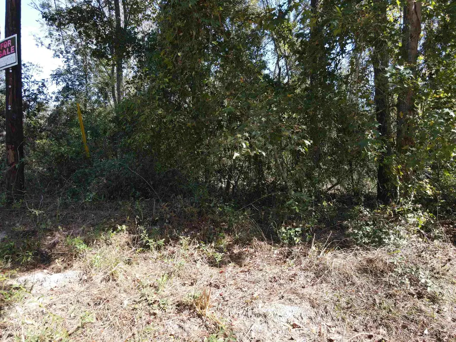 0 NW 22nd Terrace, Jasper, FL 32052 - Image #3