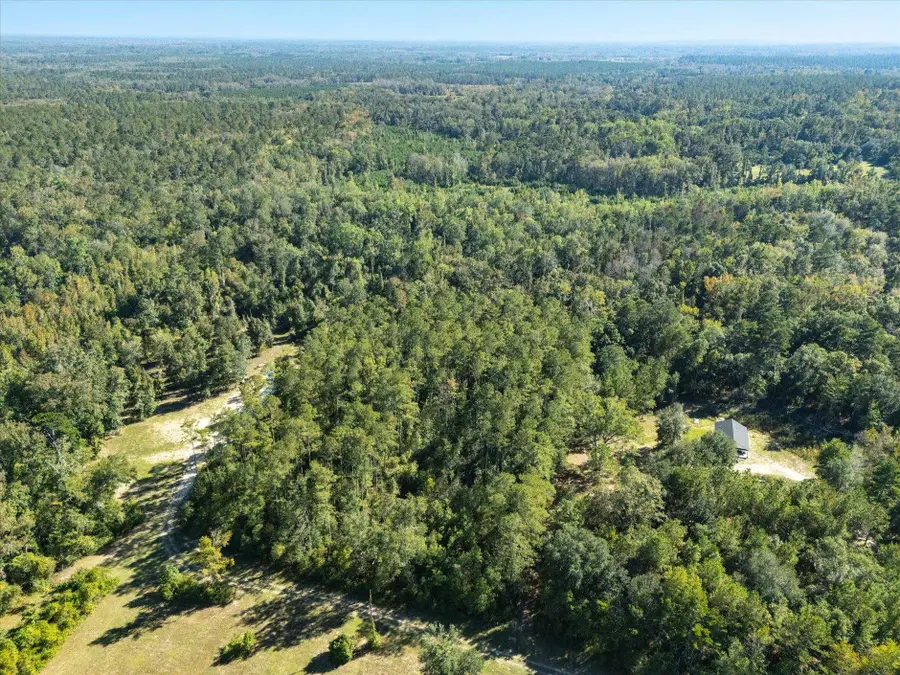 Johnny Road, Lamont, FL 32336 - Image #2