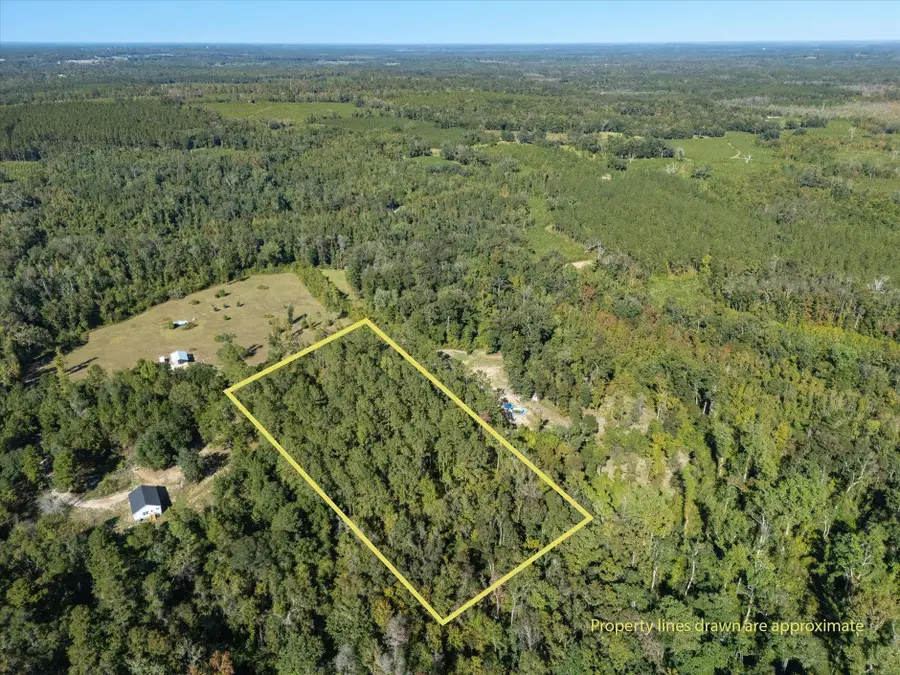 Johnny Road, Lamont, FL 32336 - Image #3