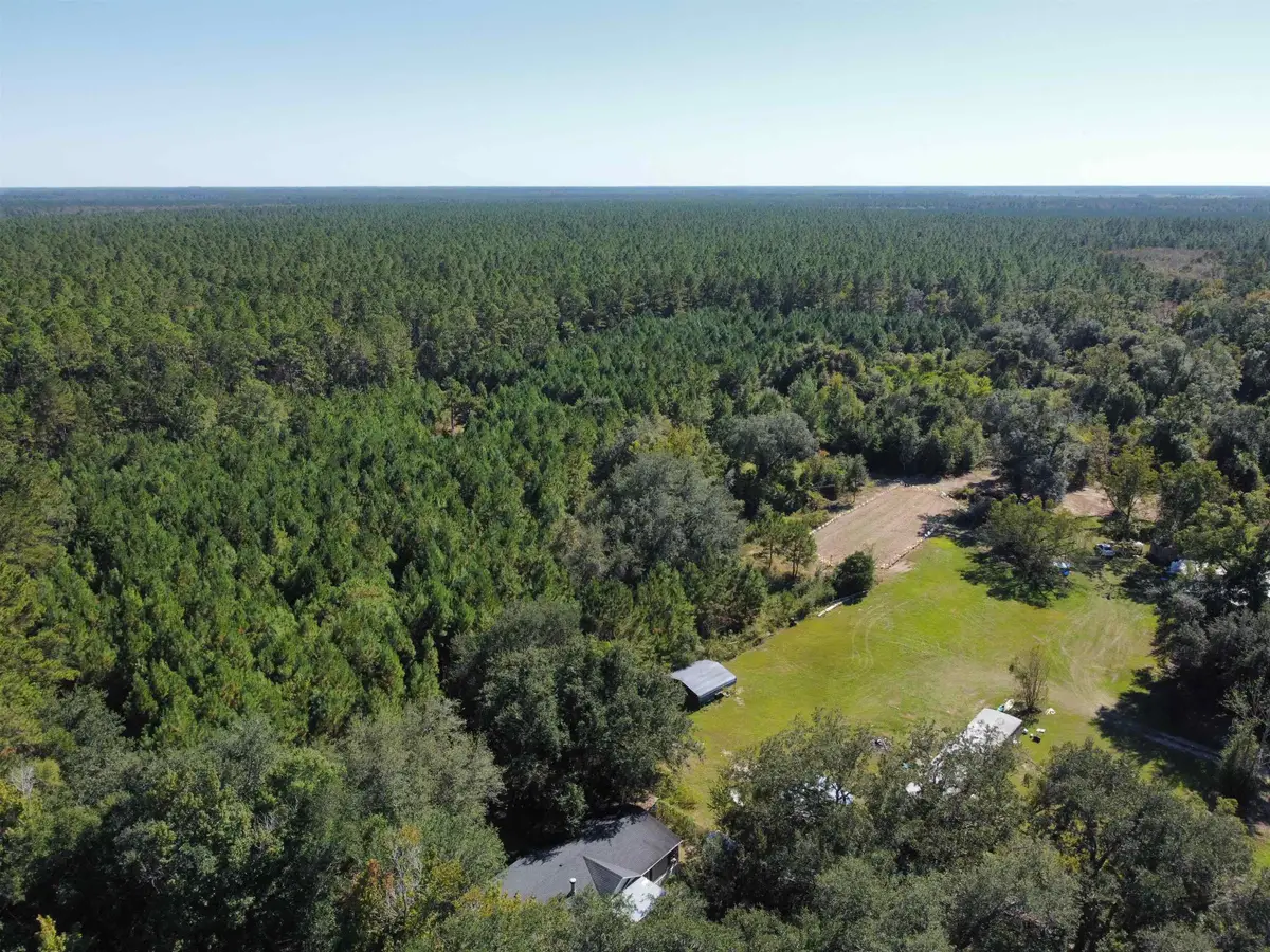24818 NW 333 Road, Bristol, FL 32321 - Image #1