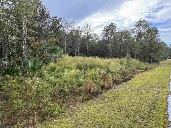 44 Water Oak Way, St Marks, FL 32355