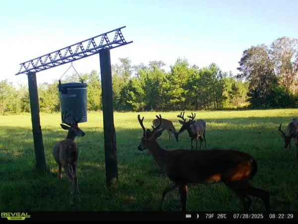 650 NW Florwers Rd Road, Madison, FL 32340