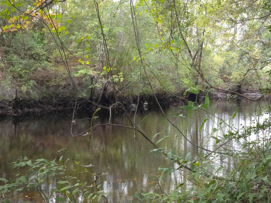 263 Persimmon Road, Sopchoppy, FL 32358 - Image #2