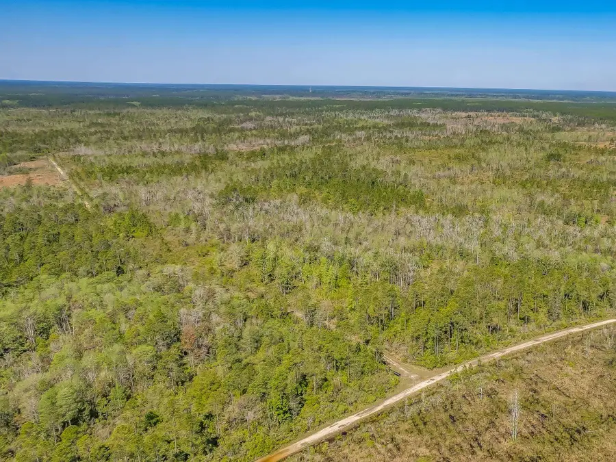 1 Owa Pass, Crawfordville, FL 32327 - Image #2