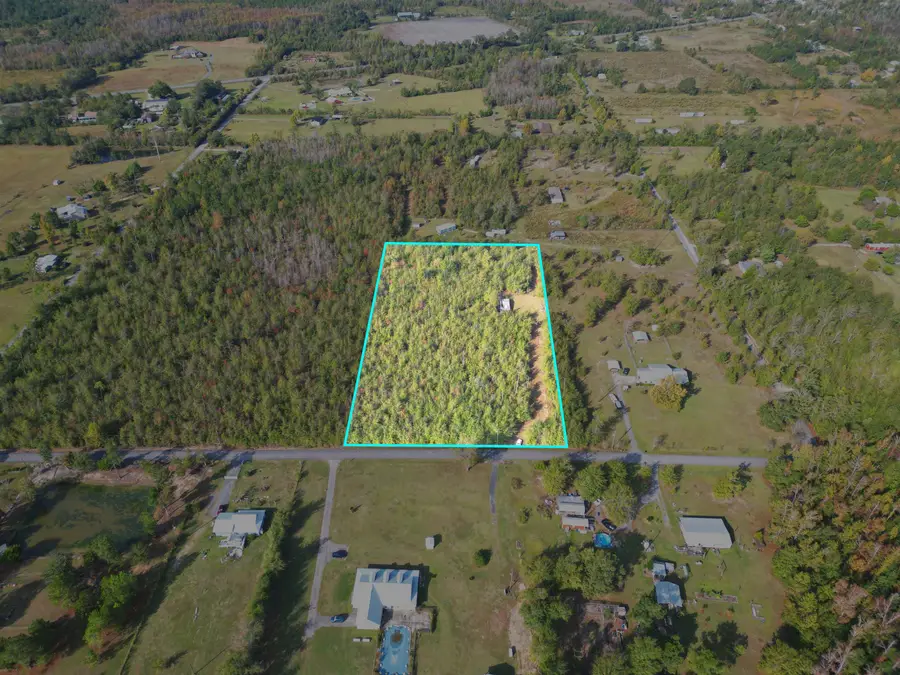 TBD NE Luke Holland Road, Altha, FL 32421 - Image #2
