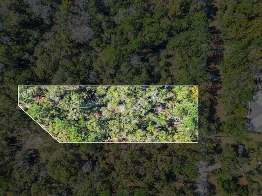 0 Parramore Shores Lot 6 Road, Tallahassee, FL 32310 - Image #2