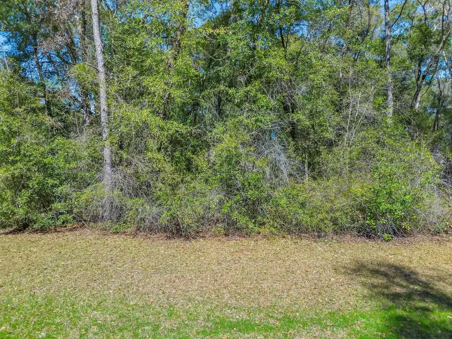 0 Parramore Shores Lot 6 Road, Tallahassee, FL 32310 - Image #3