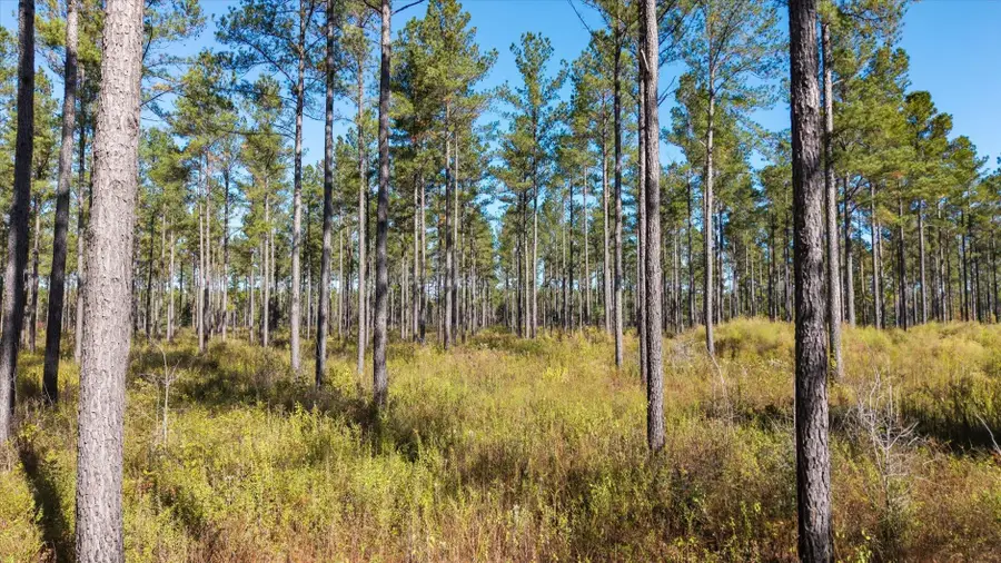 0 Mahan Drive, Tallahassee, FL 32317 - Image #2