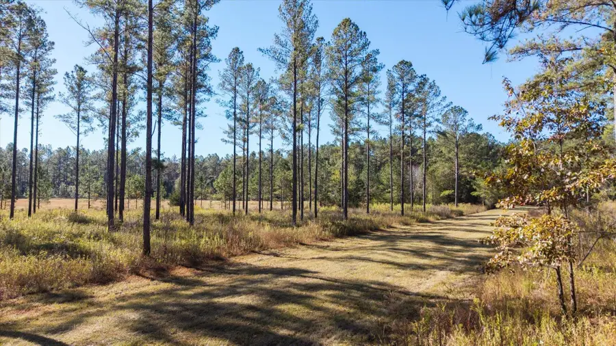 0 Mahan Drive, Tallahassee, FL 32317 - Image #3