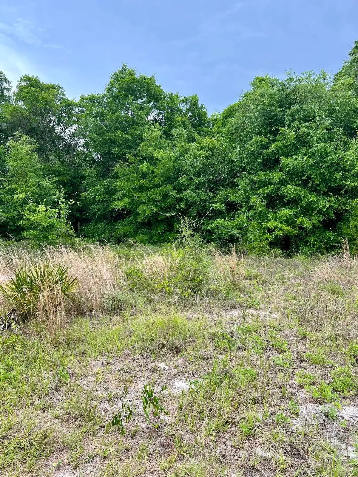 2523 Palmetto Terrace, Lanark Village, FL 32323 - #1