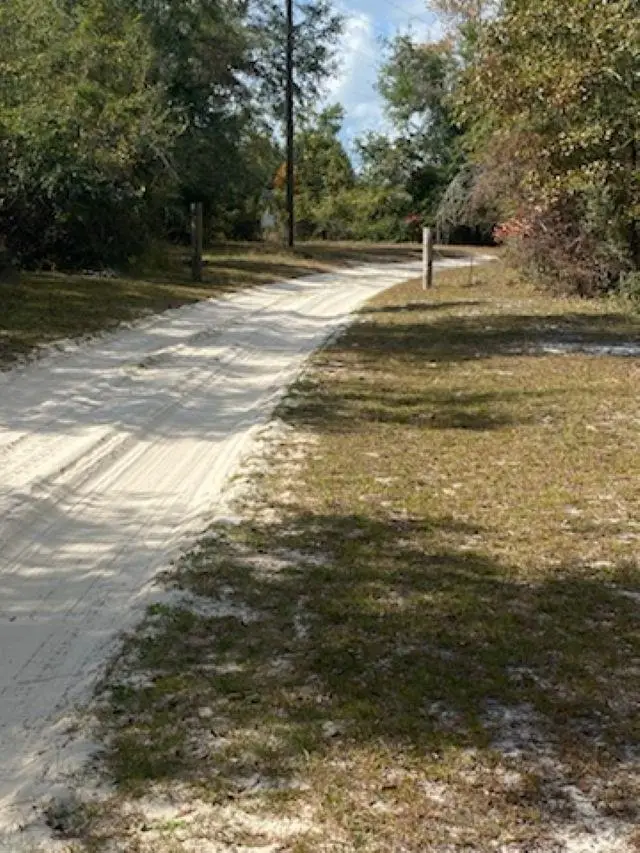 Ashley Hall Road, Crawfordville, FL 32327 - Image #2
