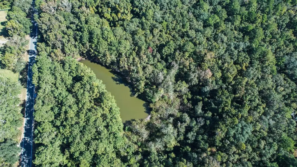 0 Crump Road, Tallahassee, FL 32309 - Image #1