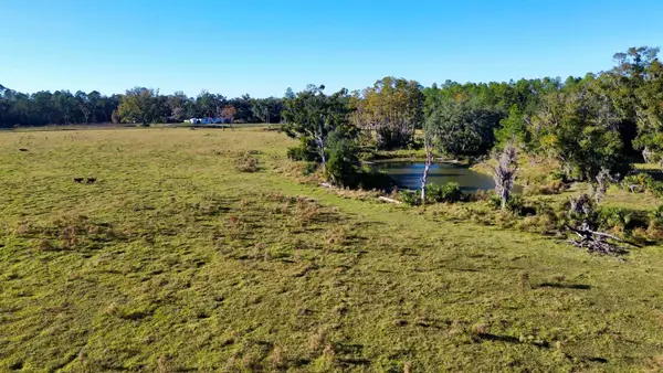 00 Woods Creek Road, Perry, FL 32347