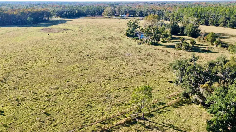 00 Woods Creek Road, Perry, FL 32347 - Image #2