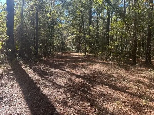 15196 Casland Drive, Tallahassee, FL 32309 - Image #3