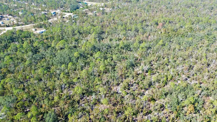 Lot 00 Clearwater Creek Lane, Perry, FL 32348 - Image #3