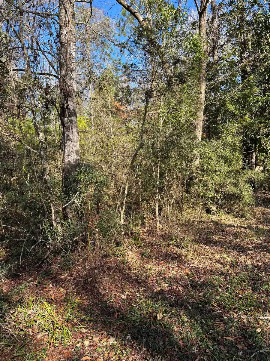 XX Noles Lane, Crawfordville, FL 32327 - #2